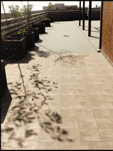 Project Image of 837.86 - 843.68 Sq.ft 3 BHK Apartment for buy in Maple Skyview