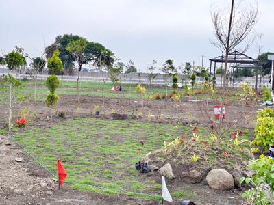 Project Image of 3500.0 - 9000.0 Sq.ft Residential Plot Plot for buy in The Monarch Farms