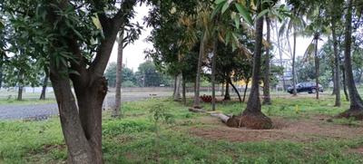 Project Image of 654.0 - 2950.0 Sq.ft Residential Plot Plot for buy in Royal Enclave