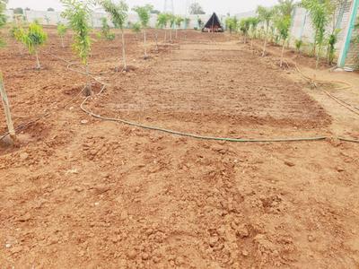 Project Image of 1300.0 - 2500.0 Sq.ft Agricultural Land Agricultural Land for buy in Green Nature Farms
