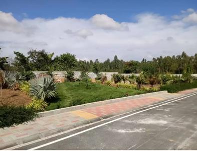 Project Image of 1200.0 - 1500.0 Sq.ft Residential Plot Plot for buy in Classic The Sanctuary Phase I