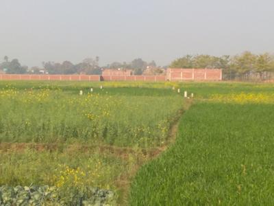 Project Image of 599.98 - 3000.01 Sq.ft Residential Plot Plot for buy in City Sapphire Park