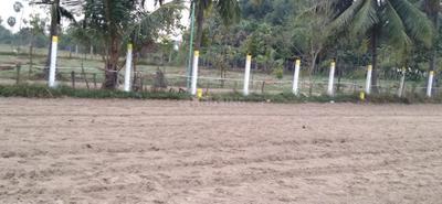 Project Image of 600.0 - 2400.0 Sq.ft Residential Plot Plot for buy in Nuworld Little Kerala