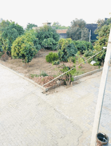 Project Image of 450.0 - 1800.0 Sq.ft Residential Plot Plot for buy in Future Home Purvanchal Enclave