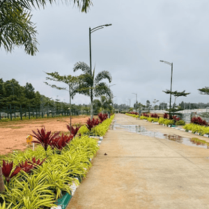 Project Image of 1090.38 - 2543.94 Sq.ft Residential Plot Plot for buy in B Poornachandra Reddy Himagiri Arcadia