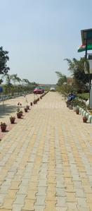 Project Image of 540.0 - 1800.0 Sq.ft Residential Plot Plot for buy in Virasat Royal Paradise