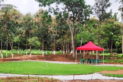 Project Image of 5659.0 - 16247.0 Sq.ft Residential Plot Plot for buy in Arinaa Country Farms