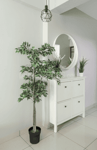 Project Image of 818.0 - 1024.0 Sq.ft 2 BHK Apartment for buy in Rajat High Park Phase III