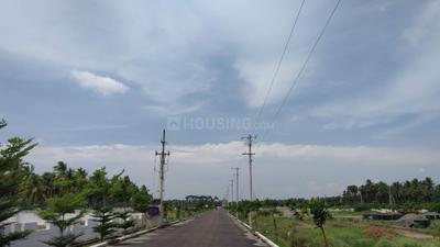 Project Image of 1503.0 - 3150.0 Sq.ft Residential Plot Plot for buy in Harmony Town East