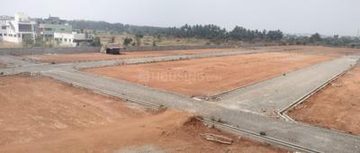 Project Images