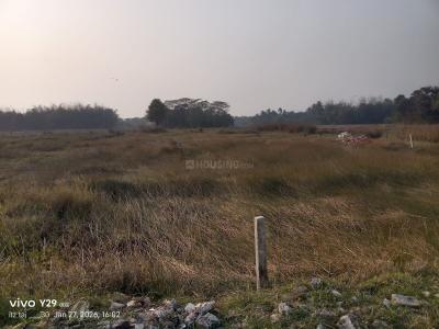 Project Image of 720.0 - 2880.0 Sq.ft Residential Plot Plot for buy in Aman City