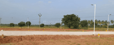Project Images