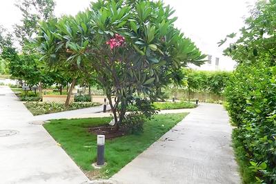 Project Image of 567.0 - 1070.79 Sq.ft 1 BHK Apartment for buy in Amit Bloomfield Phase III J And K Building