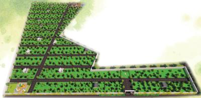 Project Image of 1200.0 - 1500.0 Sq.ft Residential Plot Plot for buy in Svabhumi Sandal Misty