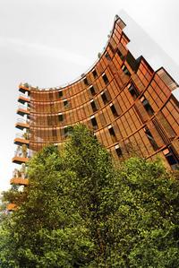Project Image of 1656.0 - 2275.0 Sq.ft 3 BHK Apartment for buy in 38 & BANYAN