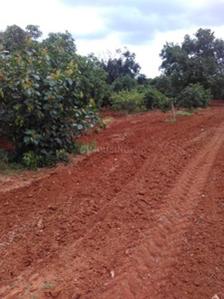 Project Image of 2700.0 - 10890.0 Sq.ft Residential Plot Plot for buy in Samruddhi Kalpavruksha