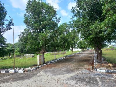 Project Image of 1474.66 - 4014.94 Sq.ft Residential Plot Plot for buy in Vimala Vyoma