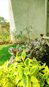 Project Image of 373.83 - 616.66 Sq.ft 1 BHK Apartment for buy in Grow Riverside Greens