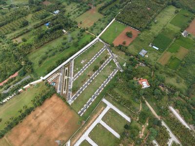 Project Image of 1163.0 - 1453.0 Sq.ft Residential Plot Plot for buy in Bhima Vishaka