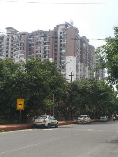 Gardenia AIMS MAX Gardenia Glory - Image 3