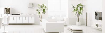 Project Image of 0.0 - 1540.0 Sq.ft 3 BHK Apartment for buy in Srivathsa Mayfair Cozy