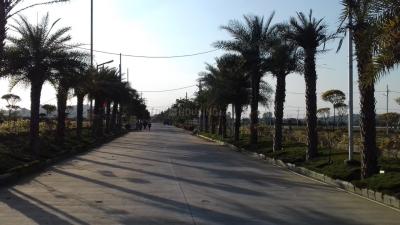 Project Image of 750.0 - 1800.0 Sq.ft Residential Plot Plot for buy in Godha Estate