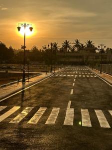 Project Image of 800.0 - 1500.0 Sq.ft Residential Plot Plot for buy in The Icon Eden