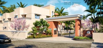Project Images