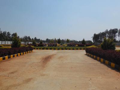 Project Image of 0.0 - 1200.0 Sq.ft Residential Plot Plot for buy in Peninsula Pine woods