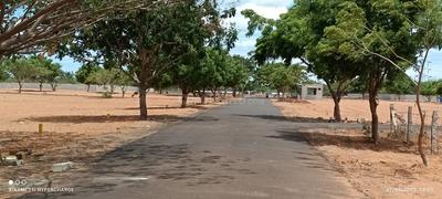 Project Image of 1250.0 - 5056.0 Sq.ft Residential Plot Plot for buy in JK Sendhur Nagar
