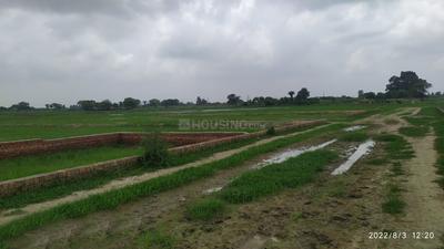 Project Image of 1000.0 - 2000.0 Sq.ft Residential Plot Plot for buy in Shiv Vatika