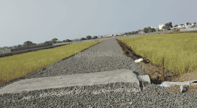 Project Images