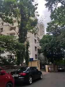 Project Image of 1475.0 - 1600.0 Sq.ft 3 BHK Apartment for buy in Alliance Blossom