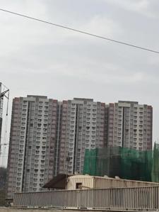 Project Image of 441.0 - 751.54 Sq.ft 1 BHK Apartment for buy in Lodha Foresta A B H And I