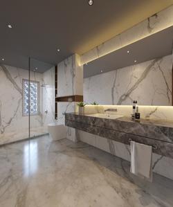 Project Image of 0.0 - 4150.0 Sq.ft 4 BHK Duplex for buy in Silver Luxuria