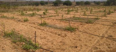 Project Image of 5445.0 - 10890.0 Sq.ft Residential Plot Plot for buy in Utopiaa