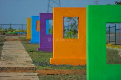 Project Images