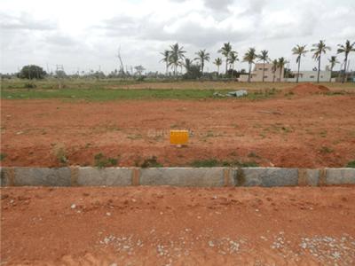 Project Image of 1200.0 - 5000.0 Sq.ft Residential Plot Plot for buy in Enrich Up Town