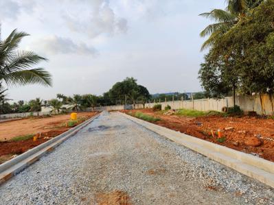 Project Image of 541.1 - 5995.5 Sq.ft Residential Plot Plot for buy in Pionier Central Avenue