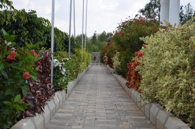 Project Image of 1200.0 - 2000.0 Sq.ft Residential Plot Plot for buy in Maanya Lotus Phase 2