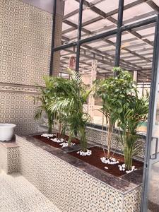Project Image of 770.0 - 1300.0 Sq.ft 2 BHK Independent Floor for buy in Sarita Dham