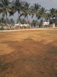 Project Image of 1050.0 - 2510.0 Sq.ft Residential Plot Plot for buy in Tekton White Park