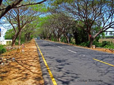 Project Image of 600.0 - 2000.0 Sq.ft Residential Plot Plot for buy in BLB Sree Jeeva Nagar