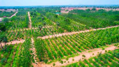 Project Image of 1800.0 - 3600.0 Sq.ft Residential Plot Plot for buy in USM My City Go Ranch