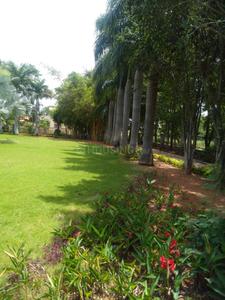 Project Image of 1485.0 - 6534.0 Sq.ft Residential Plot Plot for buy in TMR Urban Meadows