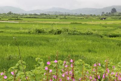 Project Image of 0.0 - 1088.98 Sq.ft Residential Plot Plot for buy in Sky Garuda