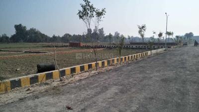 Project Images
