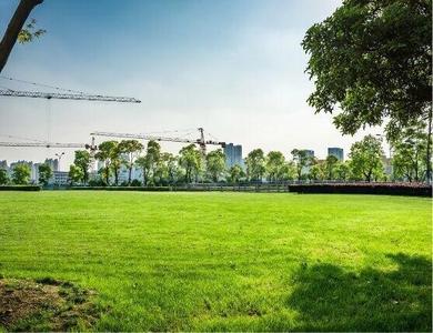 Project Image of 809.0 - 1088.0 Sq.ft 2 BHK Apartment for buy in Siddhashila Treasure Troves