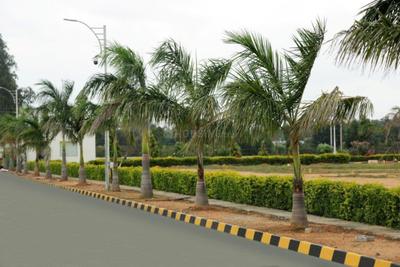Project Image of 1200.0 - 2325.0 Sq.ft Residential Plot Plot for buy in Confident Group Xotic Anthea
