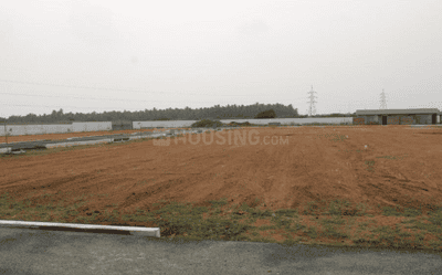 Project Images
